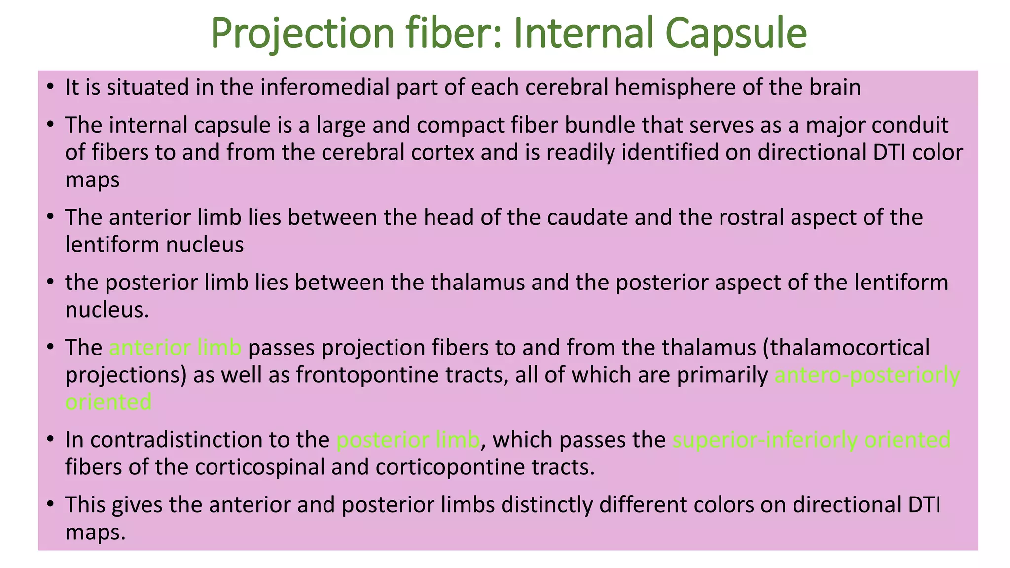 Projection fiber: Internal Capsule
• It is situated in the inferomedial part of each cerebral hemisphere of the brain
• The internal capsule is a large and compact fiber bundle that serves as a major conduit
of fibers to and from the cerebral cortex and is readily identified on directional DTI color
maps
• The anterior limb lies between the head of the caudate and the rostral aspect of the
lentiform nucleus
• the posterior limb lies between the thalamus and the posterior aspect of the lentiform
nucleus.
• The anterior limb passes projection fibers to and from the thalamus (thalamocortical
projections) as well as frontopontine tracts, all of which are primarily antero-posteriorly
oriented
• In contradistinction to the posterior limb, which passes the superior-inferiorly oriented
fibers of the corticospinal and corticopontine tracts.
• This gives the anterior and posterior limbs distinctly different colors on directional DTI
maps.
 