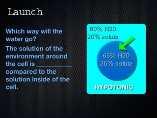 Launch ,[object Object],[object Object],HYPOTONIC 65% H 20 35% solute 80% H20 20% solute 