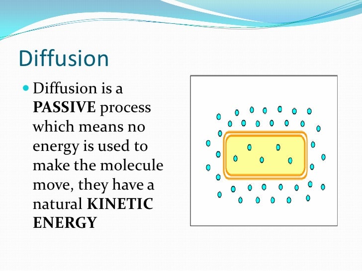 Diffusion Unit Class 1