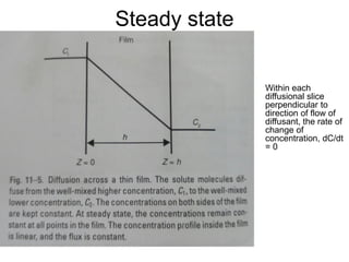 Steady state
Within each
diffusional slice
perpendicular to
direction of flow of
diffusant, the rate of
change of
concentration, dC/dt
= 0
 