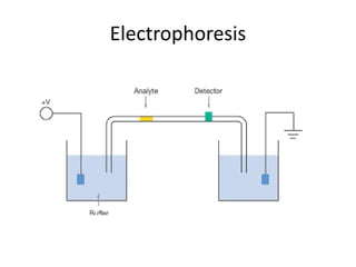 Electrophoresis
 