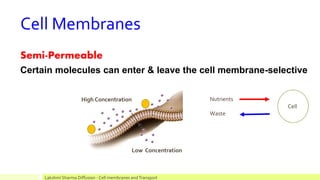 Cell Membranes
Semi-Permeable
Certain molecules can enter & leave the cell membrane-selective
High Concentration
Low Concentration
Nutrients
Waste
Cell
Lakshmi Sharma Diffusion - Cell membranes andTransport