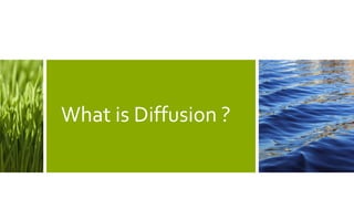 What is Diffusion ?