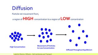 Diffusion
Particle net movement from;
a region of HIGH concentration to a region of LOWconcentration
High Concentration
Movement of Particles
to Low Concentration
DiffusedThroughout Equilibrium
Lakshmi Sharma Diffusion - Cell membranes and Transport