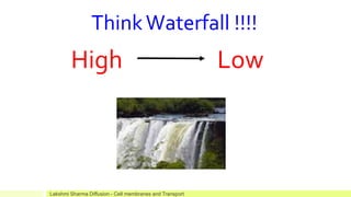 ThinkWaterfall !!!!
High Low
Lakshmi Sharma Diffusion - Cell membranes and Transport