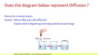 Does the diagram below represent Diffusion ?
Discuss for 1 minute in pairs
Answer –Why orWhy not is this diffusion?
Explain what is happening to the dye particles at each stage
Lakshmi Sharma Diffusion - Cell membranes and Transport