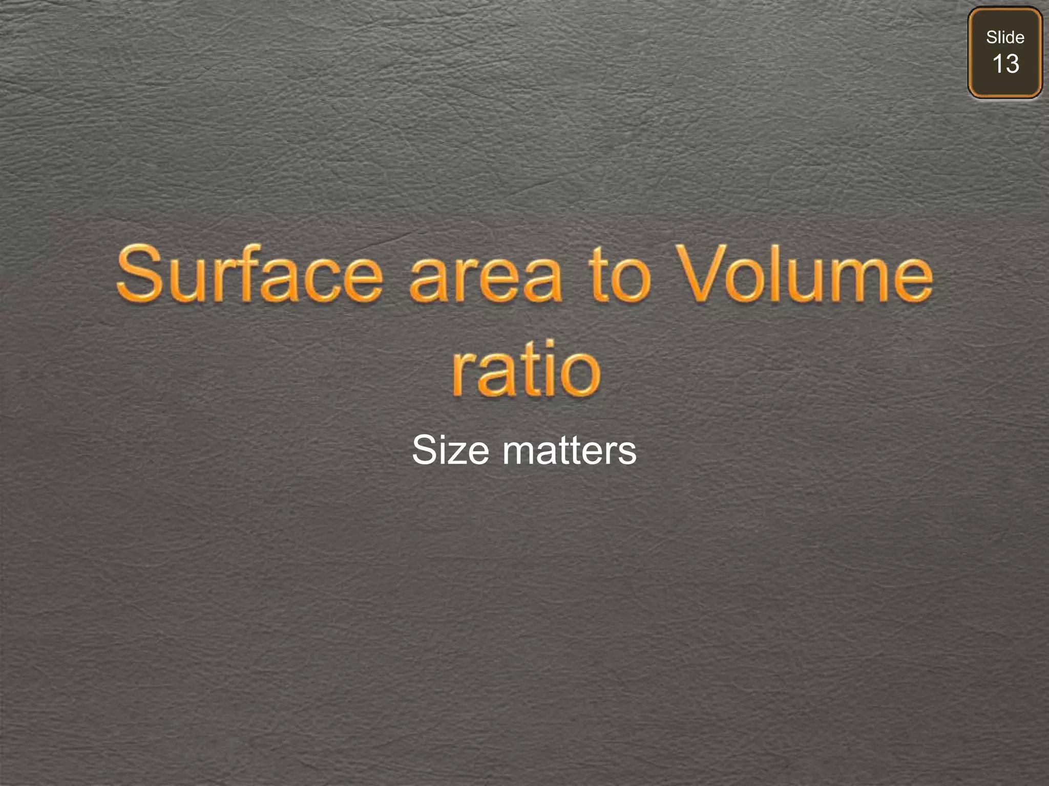 Slide
13
Size matters
 