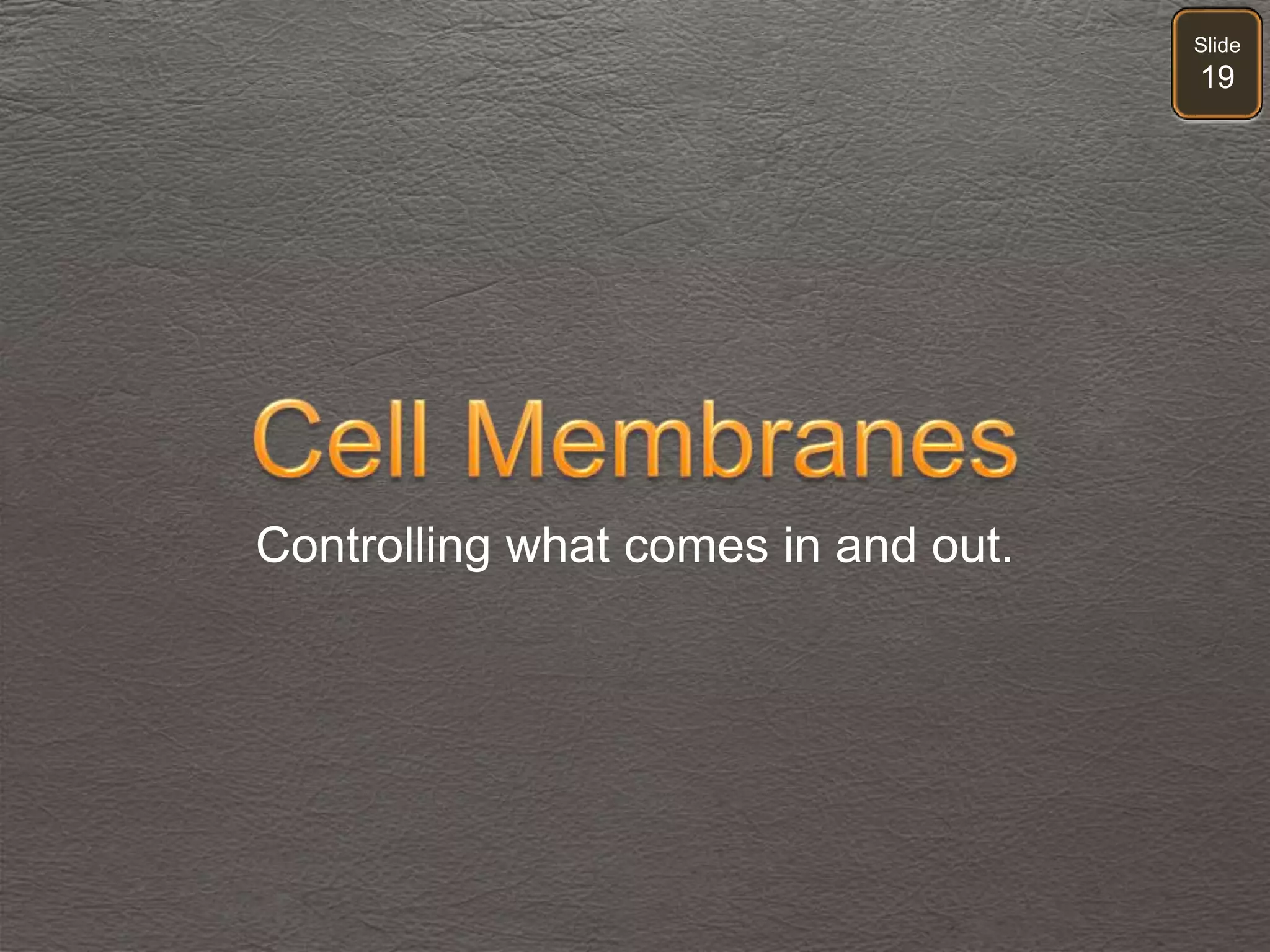 Slide
19
Controlling what comes in and out.
 