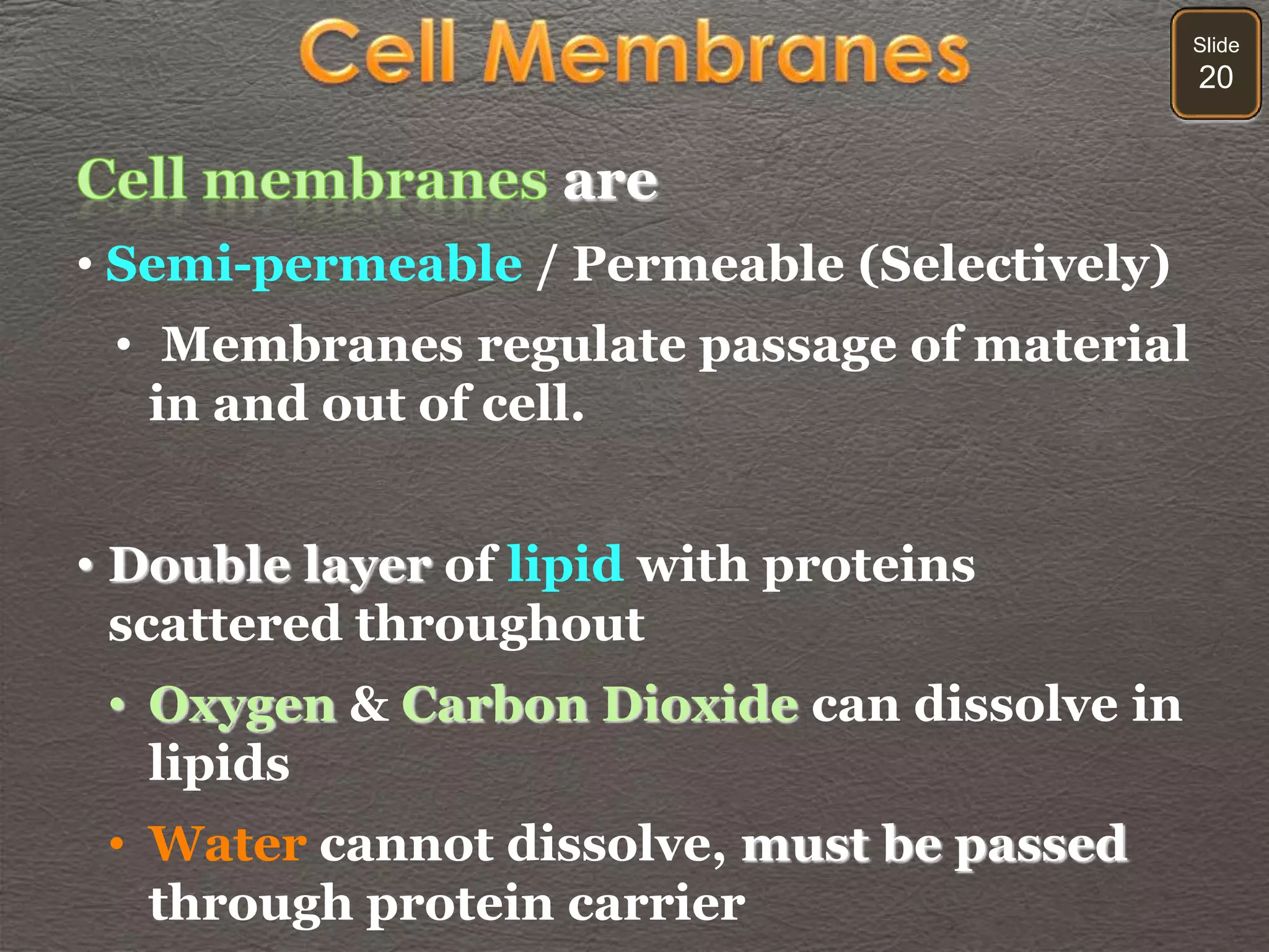 Slide
20
are
• Semi-permeable / Permeable (Selectively)
• Membranes regulate passage of material
in and out of cell.
• Double layer of lipid with proteins
scattered throughout
• Oxygen & Carbon Dioxide can dissolve in
lipids
• Water cannot dissolve, must be passed
through protein carrier
 