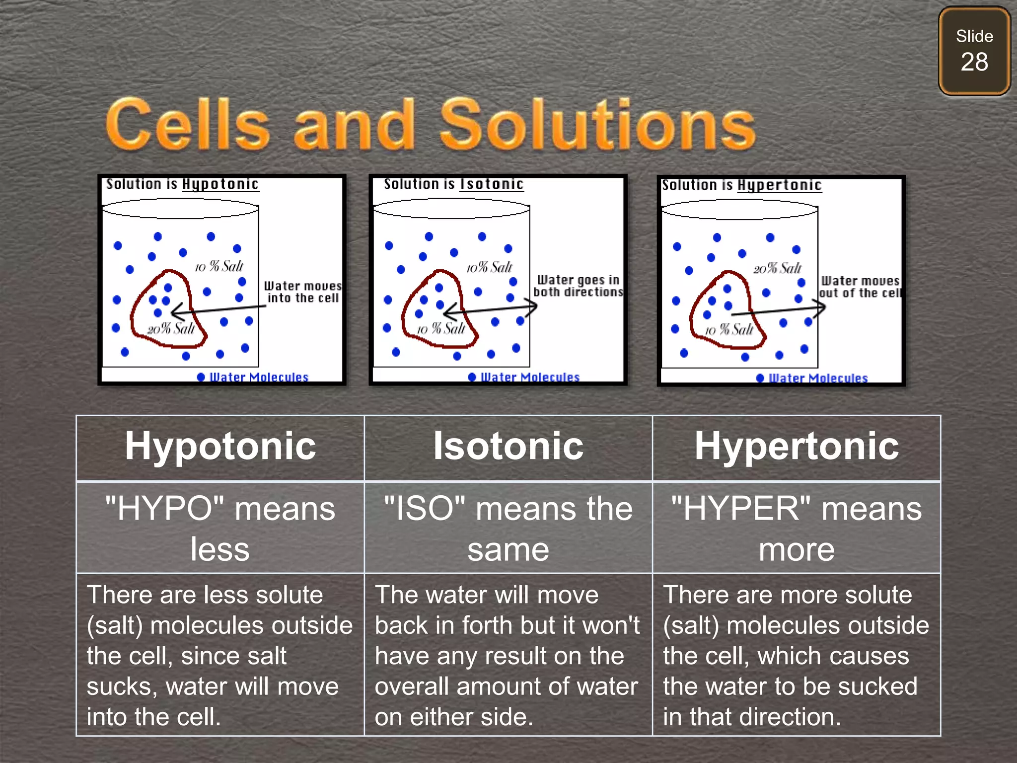 Slide
28
Hypotonic Isotonic Hypertonic
"HYPO" means
less
"ISO" means the
same
"HYPER" means
more
There are less solute
(salt) molecules outside
the cell, since salt
sucks, water will move
into the cell.
The water will move
back in forth but it won't
have any result on the
overall amount of water
on either side.
There are more solute
(salt) molecules outside
the cell, which causes
the water to be sucked
in that direction.
 