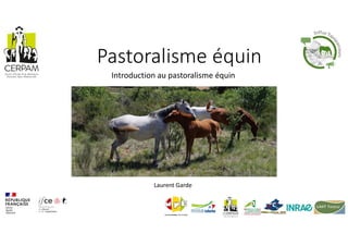 Pastoralisme équin
Introduction au pastoralisme équin
Laurent Garde
 
