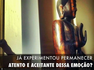 Photo by takenbyaymi2 - Creative Commons Attribution-NonCommercial License https://www.flickr.com/photos/28078807@N04 Created with Haiku Deck 
 