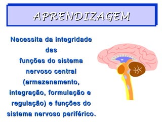 APRENDIZAGEM
        APRENDIZAGEM

 Necessita da integridade
            das
   funções do sistema
     nervoso central
    (armazenamento,
integração, formulação e
 regulação) e funções do
sistema nervoso periférico .
 