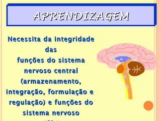 APRENDIZAGEM

Necessita da integridade
          das
   funções do sistema
    nervoso central
    (armazenamento,
integração, formulação e
regulação) e funções do
    sistema nervoso
 