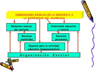 DIMENSIONES BÁSICAS EN LA RESPUESTA A LA DIVERSIDAD DEL ALUMNADO Elementos básicos del currículo Orientación educativa y tutoría Recursos materiales Recursos personales Espacios para la actividad educativa (emplazamientos) O r g a n i z a c i ó n  E s c o l a r 