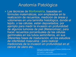 Las técnicas de  Morfometría , basadas en fórmulas matemáticas, son empleadas en la realización de recuentos, medición de áreas y volúmenes en una laminilla histológica, donde el tejido, o las células, están depositados; por ejemplo para medir la invasión en profundidad de algunos tumores de piel (Melanomas); para hacer recuentos porcentuales de las células germinales en los tubos seminíferos, en sus diferentes fases de maduración, en los estudios de infertilidad masculina ; para realizar mediciones de la invasión en profundidad en el cáncer de útero etc.. Anatomía Patológica Impacto de la Tecnología en la Anatomía Patológica y aportación de esta especialidad al desarrollo tecnológico* A.M. Puras-Gil, A. López-Cousillas  http://www.cfnavarra.es/salud/anales/textos/vol22/n1/revis1.html 