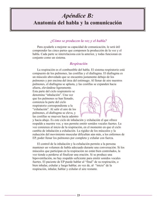 Apéndice B:
Anatomía del habla y la comunicación

¿Cómo se producen la voz y el habla?
Para ayudarle a mejorar su capacidad de comunicación, le será útil
comprender las cinco partes que componen la producción de la voz y el
habla. Cada parte se interrelaciona con la anterior, y todas funcionan en
conjunto como un sistema.

Respiración
La respiración es el combustible del habla. El sistema respiratorio está
compuesto de los pulmones, las costillas y el diafragma. El diafragma es
un músculo abovedado que se encuentra justamente debajo de los
pulmones y por encima del área del estómago. Al llenar de aire nuestros
pulmones, el diafragma se aplasta, y las costillas se expanden hacia
afuera, elevándose ligeramente.
Esta parte del ciclo respiratorio se
denomina “inhalación”. Una vez
que los pulmones se han llenado,
comienza la parte del ciclo
respiratorio correspondiente a la
“exhalación”. Al salir el aire de los
pulmones, el diafragma se eleva, y
las costillas se mueven hacia adentro
y hacia abajo. Es este ciclo de inhalación y exhalación el que ofrece
respaldo a nuestra voz, y nos permite emitir sonidos vocales fuertes. La
voz comienza al inicio de la respiración, en el momento en que el ciclo
cambia de inhalación a exhalación. La rigidez de los músculos y la
reducción del movimiento muscular dificultan aún más, a los enfermos de
EP, poder llenar los pulmones por completo y exhalar con fuerza.
El control de la inhalación y la exhalación permite a la persona
mantener un volumen de habla adecuado durante una conversación. Si los
músculos que participan en la respiración no están bien controlados, la
voz tiende a perderse al finalizar una oración. Si se produce una
hipoventilación, no hay respaldo suficiente para emitir sonidos vocales
fuertes. El paciente de EP puede hablar al “final” de su respiración, o
bien inhalar, exhalar y luego hablar, en vez de, al “inicio” de la
respiración, inhalar, hablar y exhalar el aire restante.

23

 