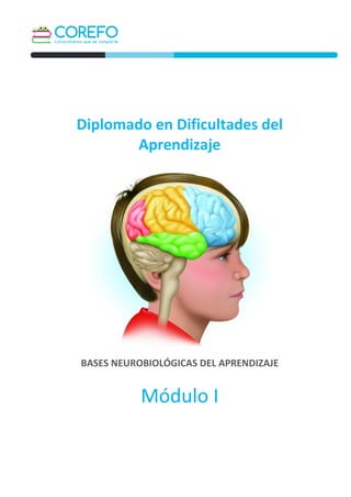 0
Diplomado en Dificultades del
Aprendizaje
BASES NEUROBIOLÓGICAS DEL APRENDIZAJE
Módulo I
 