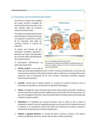 6
1.1.Estructura y funcionamiento del cerebro
El cerebro es el órgano más complejo
del cuerpo humano, encargado de
procesa...