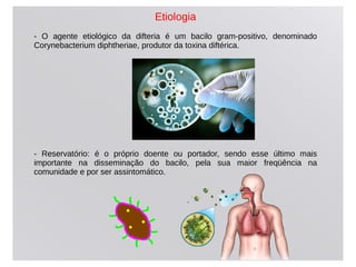Etiologia
- O agente etiológico da difteria é um bacilo gram-positivo, denominado
Corynebacterium diphtheriae, produtor da toxina diftérica.
- Reservatório: é o próprio doente ou portador, sendo esse último mais
importante na disseminação do bacilo, pela sua maior freqüência na
comunidade e por ser assintomático.
 