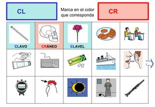 Marca en el color
que corresponda
CLAVO CRÁNEO CLAVEL
CL CR
 