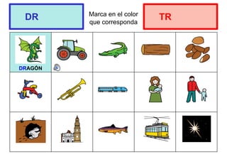 Marca en el color
que corresponda
DRAGÓN
DR TR
 