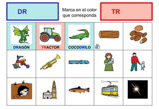 Marca en el color
que corresponda
DRAGÓN TRACTOR COCODRILO
DR TR
 
