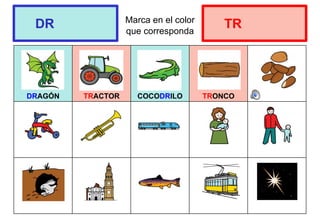 Marca en el color
que corresponda
DRAGÓN TRACTOR COCODRILO TRONCO
DR TR
 