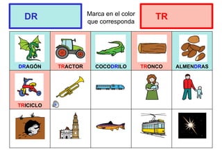 Marca en el color
que corresponda
DRAGÓN TRACTOR COCODRILO TRONCO ALMENDRAS
TRICICLO
DR TR
 