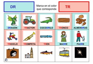 Marca en el color
que corresponda
DRAGÓN TRACTOR COCODRILO TRONCO ALMENDRAS
TRICICLO TROMPETA TREN MADRE PADRE
DR TR
 