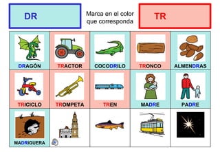 Marca en el color
que corresponda
DRAGÓN TRACTOR COCODRILO TRONCO ALMENDRAS
TRICICLO TROMPETA TREN MADRE PADRE
MADRIGUERA
DR TR
 