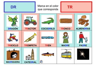 Marca en el color
que corresponda
DRAGÓN TRACTOR COCODRILO TRONCO ALMENDRAS
TRICICLO TROMPETA TREN MADRE PADRE
MADRIGUERA CATEDRAL
DR TR
 