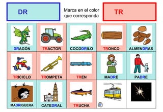 Marca en el color
que corresponda
DRAGÓN TRACTOR COCODRILO TRONCO ALMENDRAS
TRICICLO TROMPETA TREN MADRE PADRE
MADRIGUERA CATEDRAL TRUCHA
DR TR
 