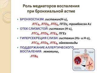Роль медиаторов воспаления
при бронхиальной астме
 БРОНХОСПАЗМ: гистамин(Н-1),
ЛТС4, ЛТD4, ЛТЕ4, ПГD2, тромбоксан А2
 ОТЕК СЛИЗИСТОЙ: гистамин (Н-1),
ЛТС4, ЛТD4, ЛТЕ4, ПГЕ2
 ГИПЕРСЕКРЕЦИЯ СЛИЗИ: гистамин (Н1- и Н-2),
ЛТС4, ЛТD4, ЛТЕ4, эйкозаноиды
 ПОДДЕРЖАНИЕ АЛЛЕРГИЧЕСКОГО
ВОСПАЛЕНИЯ: хемокины,
ЛТВ4
 