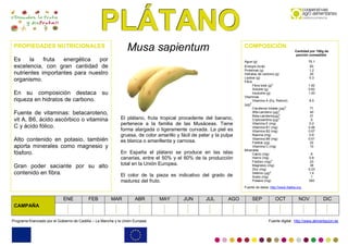 PPPLLLÁÁÁTTTAAANNNOOO
Programa financiado por el Gobierno de Castilla – La
Programa financiado por el Gobierno de Castilla – La Mancha y la Unión Europea Fuente digital: http://www.alimentacion.es
CAMPAÑA
ENE FEB MAR ABR MAY JUN JUL AGO SEP OCT NOV DIC
Musa sapientum
El plátano, fruta tropical procedente del banano,
pertenece a la familia de las Musáceas. Tiene
forma alargada o ligeramente curvada. La piel es
gruesa, de color amarillo y fácil de pelar y la pulpa
es blanca o amarillenta y carnosa.
En España el plátano se produce en las islas
canarias, entre el 50% y el 60% de la producción
total en la Unión Europea.
El color de la pieza es indicativo del grado de
madurez del fruto.
PROPIEDADES NUTRICIONALES
Es la fruta energética por
excelencia, con gran cantidad de
nutrientes importantes para nuestro
organismo.
En su composición destaca su
riqueza en hidratos de carbono.
Fuente de vitaminas: betacaroteno,
vit A, B6, ácido ascórbico o vitamina
C y ácido fólico.
Alto contenido en potasio, también
aporta minerales como magnesio y
fósforo.
Gran poder saciante por su alto
contenido en fibra.
COMPOSICIÓN
Cantidad por 100g de
porción comestible
Agua (g) 75.1
Energía (kcal) 83
Proteínas (g) 1.2
Hidratos de carbono (g) 20
Lípidos (g) 0.3
Fibra
Fibra total (g)
3
1.82
Soluble (g) 0.62
Insoluble (g) 1.20
Vitaminas
Vitamina A (Eq. Retinol)
(µg)
3
8.5
Carotenos totales (µg)
3
71
Alfa-caroteno (µg)
3
40
Beta-caroteno(µg)
3
31
Criptoxantina (µg)
3
0
Vitamina E (mg) 0.2
Vitamina B1 (mg) 0.06
Vitamina B2 (mg) 0.07
Niacina (mg) 0.8
Vitamina B6 (mg) 0.51
Folatos (µg) 22
Vitamina C (mg) 10
Minerales
Calcio (mg) 9
Hierro (mg) 0.8
Fósforo (mg)
3
23
Magnesio (mg) 38
Zinc (mg) 0.23
Selenio (µg)
3
1.4
Sodio (mg) 1
Potasio (mg) 350
Fuente de datos: http://www.5aldia.org
 