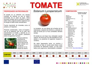 TTTOOOMMMAAATTTEEE
Programa financiado por el Gobierno de Castilla – La Mancha y la Unión Europea Fuente digital: http://www.aesan.msssi.gob.es
Solanum Lycopersicum
La tomatera, es una planta de la familia de las
solanáceas, originaria de América y cultivada en
todo el mundo por su fruto comestible, llamado
tomate.
El tomate es una baya muy coloreada cuando
madura, de tonos que van del amarillento al rojo,
debido a la presencia dl pigmento licopeno y
caroteno.
De sabor ligeramente ácido, se produce y
consume en todo el mundo tanto fresco como
procesado de diferentes modos, ya sea como
salsa, puré, jugo/zumo, deshidratado o enlatado
PROPIEDADES NUTRICIONALES
El tomate es un alimento con escasa
cantidad de calorías ya que el mayor
porcentaje de su peso es agua. Tiene
azucares simples que le confieren un ligero
sabor dulce y algunos ácidos orgánicos que
le otorgan el sabor ácido característico.
Fuente importante de minerales como el
potasio y el magnesio.
Presenta carotenoides, como el licopeno,
que es el pigmento que da el color rojo
característico al tomate y además es un
antioxidante con una función protectora
sobre el organismo humano.
COMPOSICIÓN
Cantidad por 100 g de
porción comestible
Agua (g) 92,4
Energía (kcal) 18
Proteínas (g) 1
Hidratos de carbono (g) 3
Lípidos (g) 0.3
Fibra
Fibra total (g) 0,95
Soluble (g) 0,22
Insoluble (g) 0,73
Vitaminas
Vitamina A (Eq.
Retinol) (µg)
97
Carotenos totales (µg) 592
Beta-caroteno (µg) 592
Vitamina E (mg) 1.2
Vitamina B1 (mg) 0.06
Vitamina B2 (mg) 0.04
Niacina (mg) 0.8
Vitamina B6 (mg) 0.11
Folatos (µg) 28
Vitamina C (mg) 26
Minerales
Calcio (mg) 11
Hierro (mg) 0.6
Fósforo (mg) 22
Yodo (µg) -
Magnesio (mg) 10
Zinc (mg) 0.22
Selenio (µg) 0.985
Sodio (mg) 3
Potasio (mg) 290
Fuente de datos: http://www.5aldia.org
CAMPAÑA
ENE FEB MAR ABR MAY JUN JUL AGO SEP OCT NOV DIC
Aunque podemos
encontrar los
tomates durante
todo el año los de
mejor calidad, son
los que se
recolectan en los
meses de verano.
 