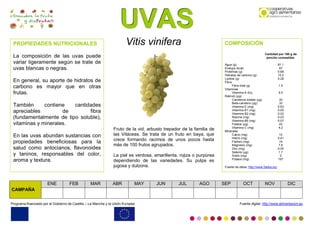 UUUVVVAAASSS
Programa financiado por el Gobierno de Castilla – La Mancha y la Unión Europea Fuente digital: http://www.alimentacion.es
Vitis vinifera
Fruto de la vid, arbusto trepador de la familia de
las Vitáceas. Se trata de un fruto en baya, que
crece formando racimos de unos pocos hasta
más de 100 frutos agrupados.
La piel es verdosa, amarillenta, rojiza o purpúrea
dependiendo de las variedades. Su pulpa es
jugosa y dulzona.
PROPIEDADES NUTRICIONALES
La composición de las uvas puede
variar ligeramente según se trate de
uvas blancas o negras.
En general, su aporte de hidratos de
carbono es mayor que en otras
frutas.
También contiene cantidades
apreciables de fibra
(fundamentalmente de tipo soluble),
vitaminas y minerales.
En las uvas abundan sustancias con
propiedades beneficiosas para la
salud como antocianos, flavonoides
y taninos, responsables del color,
aroma y textura.
COMPOSICIÓN
Cantidad por 100 g de
porción comestible
Agua (g) 81.1
Energía (kcal) 67
Proteínas (g) 0.68
Hidratos de carbono (g) 15.2
Lípidos (g) 0.28
Fibra
Fibra total (g) 1.5
Vitaminas
Vitamina A (Eq.
Retinol) (µg)
5.5
Carotenos totales (µg) 33
Beta-caroteno (µg) 33
Vitamina E (mg) 0.63
Vitamina B1 (mg) 0.05
Vitamina B2 (mg) 0.03
Niacina (mg) 0.23
Vitamina B6 (mg) 0.07
Folatos (µg) 43
Vitamina C (mg) 4.2
Minerales
Calcio (mg) 12
Hierro (mg) 0.41
Fósforo (mg) 19
Magnesio (mg) 7.6
Zinc (mg) 0.05
Selenio (µg) 1.7
Sodio (mg) 2
Potasio (mg) 197
Fuente de datos: http://www.5aldia.org
CAMPAÑA
ENE FEB MAR ABR MAY JUN JUL AGO SEP OCT NOV DIC
 