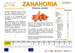 ZZZAAANNNAAAHHHOOORRRIIIAAA
0000
Programa financiado por el Gobierno de Castilla – La Mancha y la Unión Europea Fuente digital: http://www.aesan.msssi.gob.es
Daucus carota
Raíz de la planta de la zanahoria, herbácea de la
familia de las Umbelíferas. Suele ser de color
anaranjado aunque también hay variedades de
color amoratado o amarillo.
Las zanahorias se pueden consumir de muy
diversas formas. Se suelen trocear, y se consumen
crudas, cocidas, fritas o al vapor, se cocinan en
sopas, guisos, pasteles, jugo, así como en comidas
preparadas para bebés.
Podemos encontrar zanahorias frescas todo el año,
pero las de temporada son las que se cultivan a
finales de la primavera.
PROPIEDADES NUTRICIONALES
Alimento excelente desde el punto
de vista nutricional gracias a su
contenido en vitaminas y minerales.
El agua es su componente más
abundante, seguido de los hidratos
de carbono.
Su característico color naranja se
debe a la presencia de carotenos,
entre ellos el beta-caroteno, que se
transforma en vitamina A cuando
entra en nuestro organismo.
Es por esta vitamina por la que a la
zanahoria siempre se la ha
relacionado con la mejora de la vista.
COMPOSICIÓN
Cantidad por 100 g de
porción comestible
Agua (g) 88.7
Energía (kcal) 33
Proteínas (g) 0.9
Hidratos de carbono (g) 7,3
Lípidos (g) 0,2
Fibra
Fibra total (g) 3,6
Soluble (g) 1,7
Insoluble (g) 1,8
Vitaminas
Vitamina A (Eq.
Retinol) (µg)
1500
Carotenos totales
(µg)
11000
Alfa-caroteno (µg) 3400
Beta-caroteno (µg) 7600
Criptoxantina (µg) Trazas
Vitamina B1 (mg) 0,05
Vitamina B2 (mg) 0,04
Niacina (mg) 0,6
Vitamina B6 (mg) 0,15
Folatos (µg) 10
Vitamina C (mg) 6
Minerales
Calcio (mg) 41
Hierro (mg) 0,7
Fósforo (mg) 35
Magnesio (mg) 13
Zinc (mg) 0.3
Selenio (µg) 1,3
Sodio (mg) 77
Potasio (mg) 255
Fuente de datos: http://www.5aldia.org
CAMPAÑA
ENE FEB MAR ABR MAY JUN JUL AGO SEP OCT NOV DIC
 