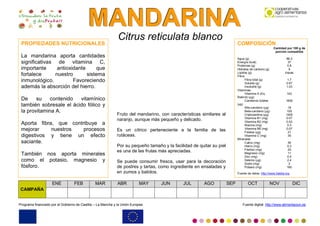MMMAAANNNDDDAAARRRIIINNNAAA
Programa financiado por el Gobierno de Castilla – La Mancha y la Unión Europea Fuente digital: http://www.alimentacion.es
Citrus reticulata blanco
Fruto del mandarino, con características similares al
naranjo, aunque más pequeño y delicado.
Es un cítrico perteneciente a la familia de las
rutáceas.
Por su pequeño tamaño y la facilidad de quitar su piel
es una de las frutas más apreciadas.
Se puede consumir fresca, usar para la decoración
de postres y tartas, como ingrediente en ensaladas y
en zumos y batidos.
PROPIEDADES NUTRICIONALES
La mandarina aporta cantidades
significativas de vitamina C,
importante antioxidante que
fortalece nuestro sistema
inmunológico. Favoreciendo
además la absorción del hierro.
De su contenido vitamínico
también sobresale el ácido fólico y
la provitamina A.
Aporta fibra, que contribuye a
mejorar nuestros procesos
digestivos y tiene un efecto
saciante.
También nos aporta minerales
como el potasio, magnesio y
fósforo.
COMPOSICIÓN
Cantidad por 100 g de
porción comestible
Agua (g) 88.3
Energía (kcal) 37
Proteínas (g) 0.8
Hidratos de carbono (g) 9
Lípidos (g) trazas
Fibra
Fibra total (g) 1.7
Soluble (g) 0.67
Insoluble (g) 1.03
Vitaminas
Vitamina A (Eq.
Retinol) (µg)
142
Carotenos totales
(µg)
1600
Alfa-caroteno (µg) 18
Beta-caroteno (µg) 105
Criptoxantina (µg) 1400
Vitamina B1 (mg) 0.07
Vitamina B2 (mg) 0.02
Niacina (mg) 0.3
Vitamina B6 (mg) 0.07
Folatos (µg) 21
Vitamina C (mg) 35
Minerales
Calcio (mg) 36
Hierro (mg) 0.3
Fósforo (mg) 20
Magnesio (mg) 11
Zinc (mg) 0.4
Selenio (µg) 2.4
Sodio (mg) 2
Potasio (mg) 160
Fuente de datos: http://www.5aldia.org
CAMPAÑA
ENE FEB MAR ABR MAY JUN JUL AGO SEP OCT NOV DIC
 