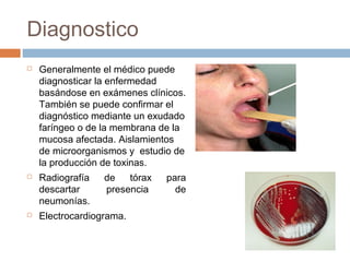 Diagnostico
   Generalmente el médico puede
    diagnosticar la enfermedad
    basándose en exámenes clínicos.
    También se puede confirmar el
    diagnóstico mediante un exudado
    faríngeo o de la membrana de la
    mucosa afectada. Aislamientos
    de microorganismos y estudio de
    la producción de toxinas.
   Radiografía   de   tórax   para
    descartar     presencia      de
    neumonías.
   Electrocardiograma.
 
