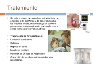 Tratamiento
   Se trata por tanto de neutralizar la toxina libre, de
    erradicar el C. diphteriae y de poner enmarcha
    las medidas terapéuticas de apoyo en caso de
    grave compromiso respiratorio que puede ocurrir
    en las formas graves y obstructivas.


   Tratamiento no farmacológico:
   Líquidos intravenosos
   Oxígeno
   Reposo en cama
   Monitoreo cardíaco
   Inserción de un tubo de respiración
   Corrección de las obstrucciones de las vías
    respiratorias
 