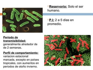 Reservorio: Solo el ser
                              humano.

                              P.I: 2 a 5 días en
                              promedio.



Periodo de
transmisibilidad:
generalmente alrededor de
de 2 semanas.
Perfil de comportamiento:
variacion estacional
marcada, excepto en países
tropicales, con aumentos en
periodos de otoño invierno.
 