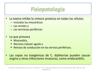 • La toxina inhibe la síntesis proteica en todas las células:
– Incluidas las miocárdicas
– Las renales y
– Las nerviosas periféricas
• Lo que provoca
 Miocarditis,
 Necrosis tubular aguda y
 Retraso de conducción en los nervios periféricos.
• Las cepas no toxigénicas de C. diphteriae pueden causar
angina y otras infecciones invasoras, como endocarditis.
Red Book: Enfermedades Infecciosas en Pediatría. 27ª ed. Editorial Médica Panamericana: Madrid; 2007:308-312, 682-
688,698-721.
 