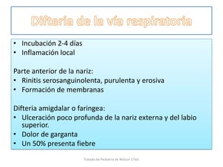 • Incubación 2-4 días
• Inflamación local
Parte anterior de la nariz:
• Rinitis serosanguinolenta, purulenta y erosiva
• Formación de membranas
Difteria amigdalar o faringea:
• Ulceración poco profunda de la nariz externa y del labio
superior.
• Dolor de garganta
• Un 50% presenta fiebre
Tratado de Pediatria de Nelson 17ed.
 