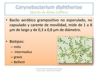 • Bacilo aeróbico grampositivo no esporulado, no
capsulado y carente de movilidad, mide de 1 a 8
µm de largo y de 0,3 a 0,8 µm de diámetro.
• Biotipos:
– mitis
– intermedius
– gravis
– Belfanti
Manual de Microbiología y Parasitología
Clínica. WHO. 1994. (ICP/EPI 038(C)).
 