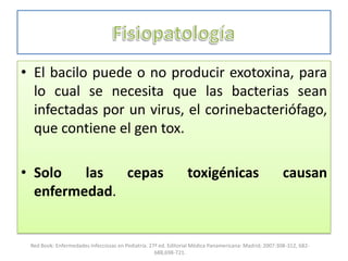 • El bacilo puede o no producir exotoxina, para
lo cual se necesita que las bacterias sean
infectadas por un virus, el corinebacteriófago,
que contiene el gen tox.
• Solo las cepas toxigénicas causan
enfermedad.
Red Book: Enfermedades Infecciosas en Pediatría. 27ª ed. Editorial Médica Panamericana: Madrid; 2007:308-312, 682-
688,698-721.
 