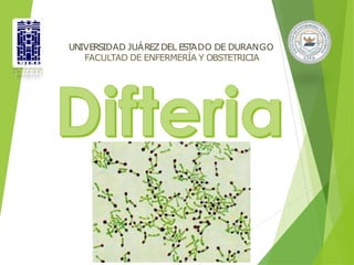 UNIVERSIDAD JUÁREZDEL EST
ADO DE DURANGO
FACULTAD DE ENFERMERÍA Y OBSTETRICIA
 