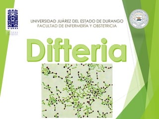UNIVERSIDAD JUÁREZ DEL ESTADO DE DURANGO 
FACULTAD DE ENFERMERÍA Y OBSTETRICIA 
 