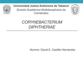 Universidad Juárez Autónoma de Tabasco 
División Académica Multidisciplinaria de 
Comalcalco 
CORYNEBACTERIUM 
DIPHTHERIAE 
Alumno: David E. Castillo Hernández 
 
