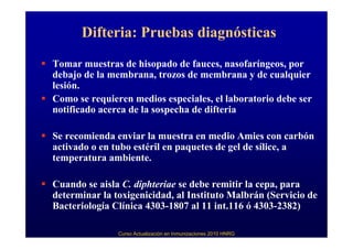 Difteria: Pruebas diagnósticas
Tomar muestras de hisopado de fauces, nasofaríngeos, por
debajo de la membrana, trozos de membrana y de cualquier
lesión.
Como se requieren medios especiales, el laboratorio debe ser
notificado acerca de la sospecha de difteria

Se recomienda enviar la muestra en medio Amies con carbón
activado o en tubo estéril en paquetes de gel de sílice, a
temperatura ambiente.

Cuando se aisla C. diphteriae se debe remitir la cepa, para
determinar la toxigenicidad, al Instituto Malbrán (Servicio de
Bacteriología Clínica 4303-1807 al 11 int.116 ó 4303-2382)

               Curso Actualización en Inmunizaciones 2010 HNRG
 